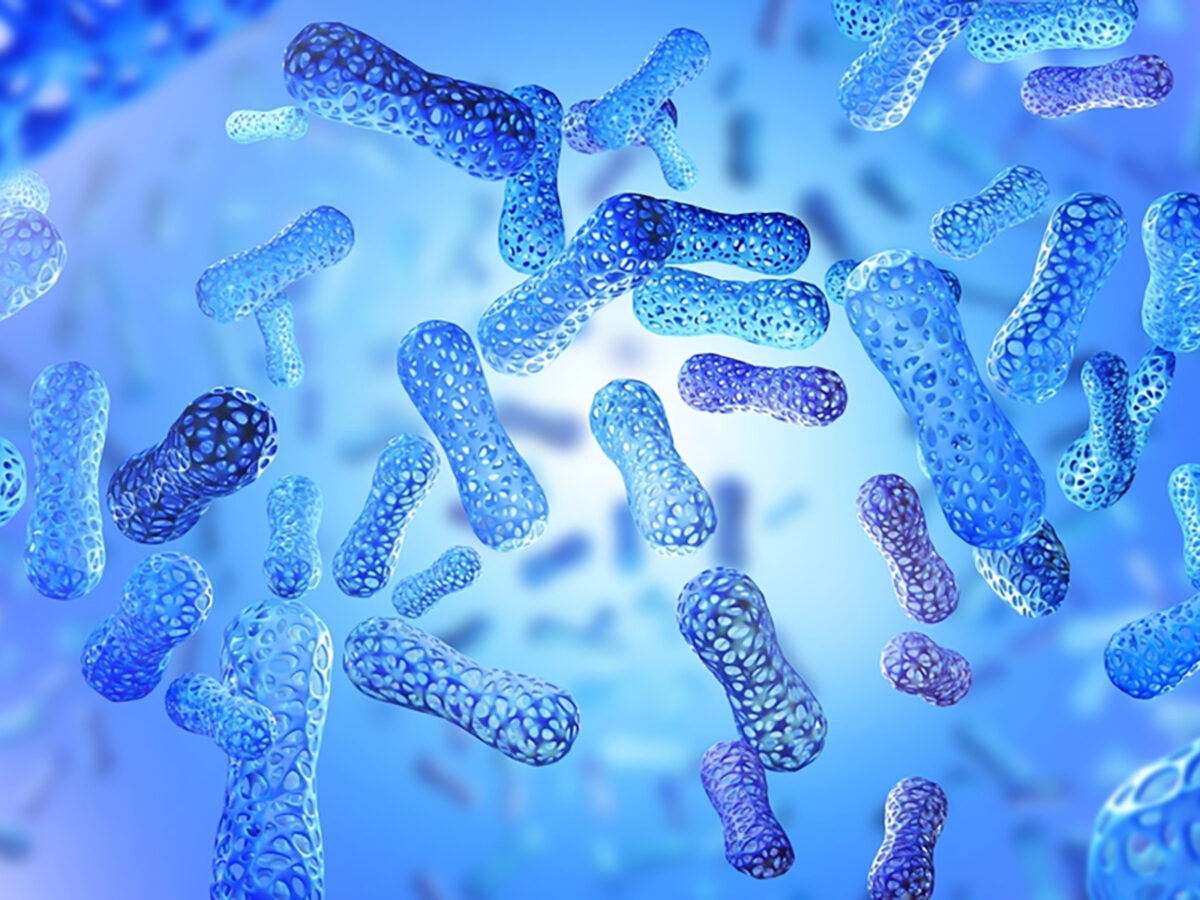 How Long Does It Take For Probiotics To Work?